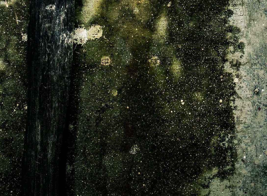 Oakmoss