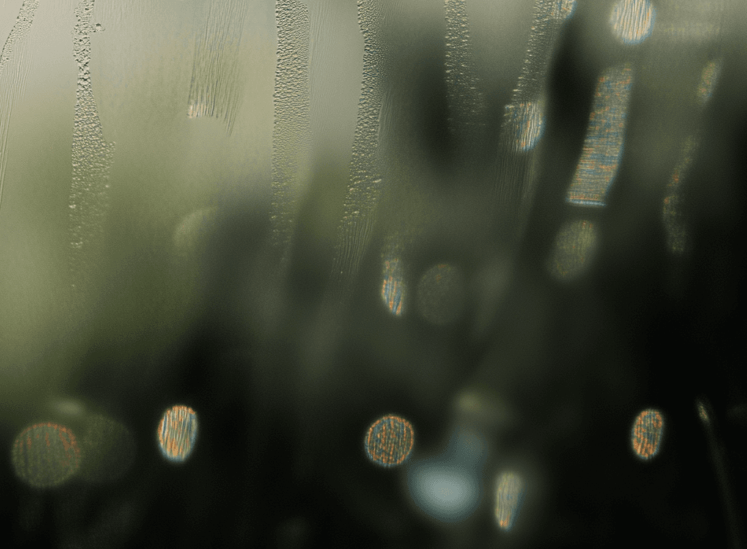 After the rain